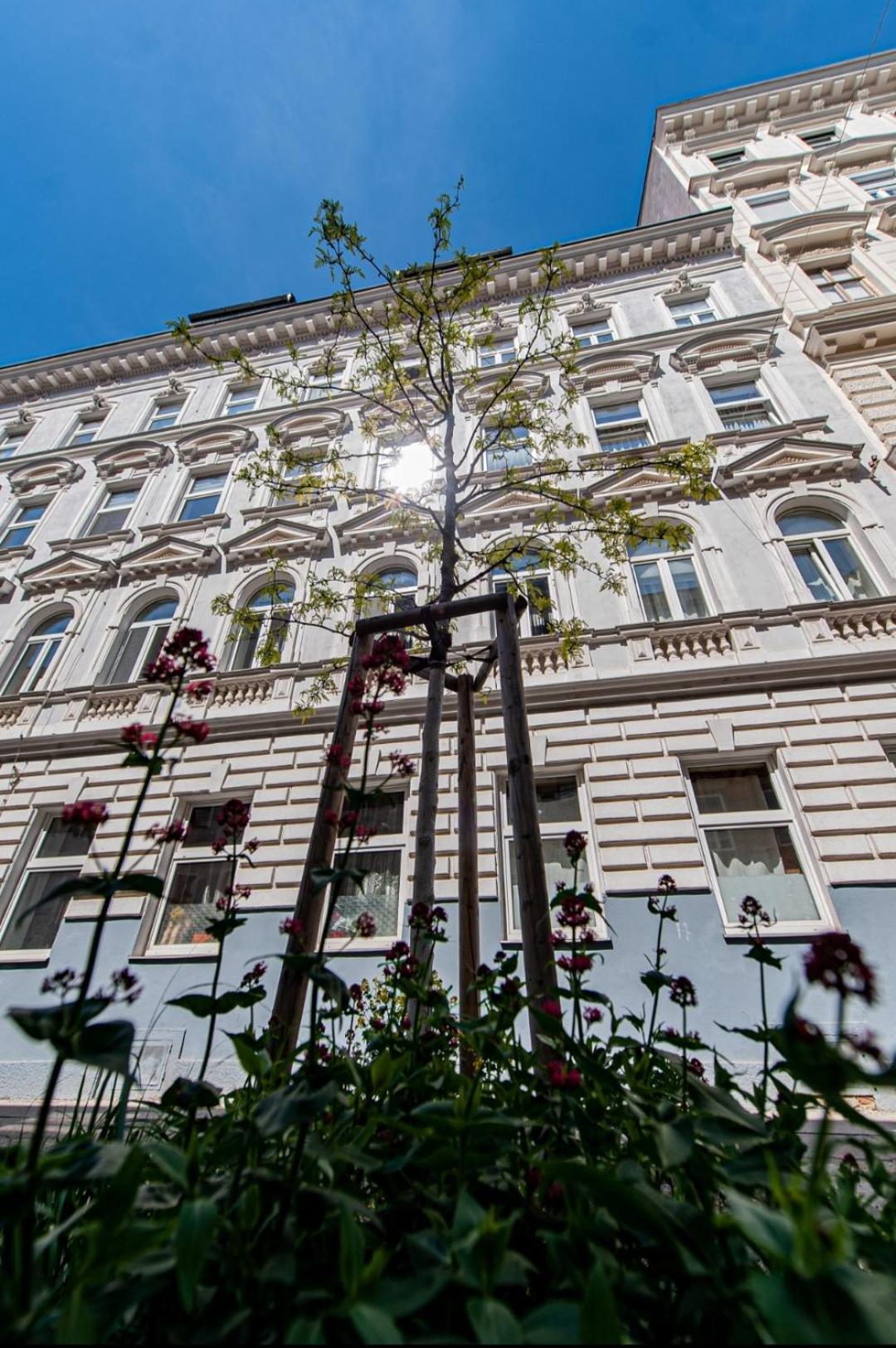 Apartment With Balcony Near Augarten Vienna Esterno foto
